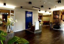 Česká spořitelna zvýšila letošní zisk na 11,8 miliardy korun