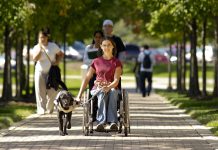 Příspěvek na domácí péči v roce 2019 vzroste na 19 200 Kč