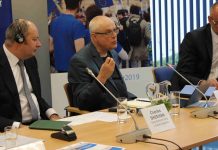 Evropská politika posílila české zemědělství, tvrdí Špidla ceske_zemedelstvi