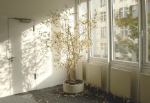 Hypoúvěr od stavebních spořitelen: Kdy a jak se vyplatí hypouver_od_stavebnich_sporitelen