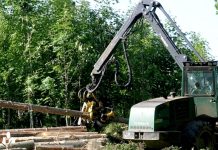 Státní podnik Lesy ČR je bez koruny a zvažuje úvěr Lesy_CR