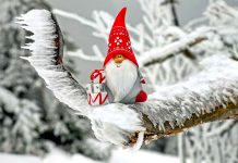 Češi letos dají za vánoční dárky v průměru 7 046 korun Vánoční dárky a