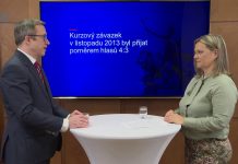 Oslabení koruny v roce 2013 mělo přijít dříve, tvrdí Tomáš Holub