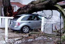 U pojištění rizika živelních pohrom hraje roli i síla větru pojisteni_rizika_zivelnych_pohrom