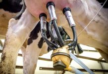 MPO a MZe otvírají kvůli krizi Covid-19 nové dotační programy