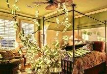 ČNB znovu varuje před podvodníky na Forexu na Forexu