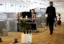 Kompenzační bonus pro společníky s.r.o. bude max. 44 500 Kč kompenzacni_bonus_pro_spolecniky