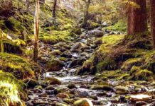 Na zachycení a udržení vody v krajině míří miliardy korun vody