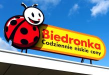 Polské firmy dominují regionu CEE, české firmy jsou druhé CEE