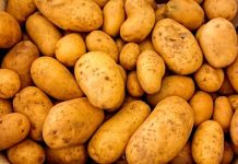 Meziměsíčně se inflace v listopadu oproti říjnu nezměnila v_listopadu