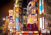 HDP Japonska loni klesl o 4,8 %. Propadl export i spotřeba Japonska