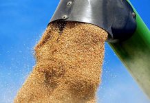 Export zemědělců do SRN loni překonal export na Slovensko export