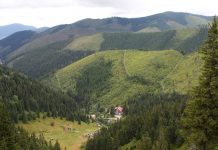 Na Slovensku podmínili volný pohyb negativním testem na covid na_Slovensku