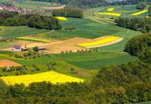 ÚZEI: Zemědělská produkce loni vzrostla o 1,5 miliardy korun zemedelska