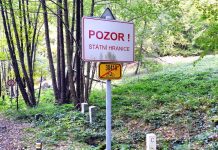 Příjezdy do Česka se o dost zpřísnily i pro české občany prijezdy