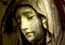 Počty úmrtí letos v lednu překonaly v ČR všechny rekordy pocty_umrti