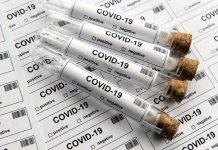 Už ve středu se bude ve veřejné správě testovat všude testovat