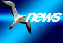 FinTag Newsletter od 4.4. 2021 do 10.4. 2021 FinTag_Newsletter_od 4.4._2021_do_10.4._2021