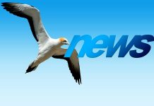 Přehled článků na FinTag.cz: Od 10.5. do 16.5. 2021 FinTag.cz