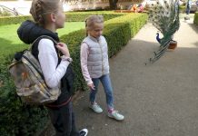 Stát zavíral mateřinky a omezoval základky protizákonně stat