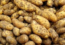 Inflace v květnu klesla pod 3 procenta. Byla 2,9 procenta inflace_v_kvetnu