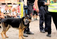 Firmy porušují zákon o zaměstnanosti, odhalili celníci celnici