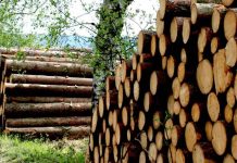 Ceny v průmyslu dál rostou. Dřevo meziročně zdražilo o 79,2 % ceny