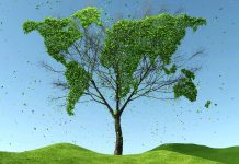 Více než půlka investorů nemá konkrétnější představu o ESG ESG