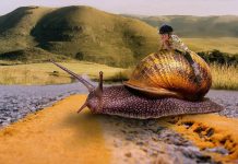 Ve třetím čtvrtletí významně zpomalily všechny velké ekonomiky ve_tretim_ctvrtletí