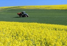 Unie se pře o to, co, kdy a kde má růst na evropských polích Unie