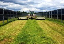 Solární panely nepatří jen na střechy, ale i úrodná pole solarni_panely