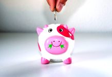 Vláda ukázala, že šetřit jde. Byť Schillerová mluví o zmaru vlada