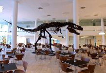 Saxo Bank: Svět čeká inflace, represe a někde i státní bankroty Saxo Bank