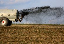 Skoupí holdingy jako Agrofert Rusové, Číňané či Arabové? holdingy