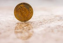 SoftVision otevírá hedge fond na obchodování kryptoměn SoftVision