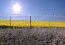 FinTag: Přehled příspěvků od 4.4. do 10.4. 2022 prispevku