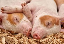 Ceny ve výrobě, zdá se, nemají strop. Prudce rostly i v březnu ve