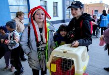 O humanitární dávky žádají tisíce běženců denně. Nově i online davky