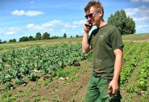 Nezaměstnanost v Česku opět klesla o 0,1 p. b. na 3,3 % nezamestnanost_v