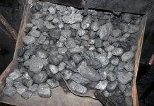 Poláci tráví ve frontě na uhlí několik dní. Chybí to ruské na_uhli