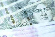 Jedná se o vyšším životním minimu i přídavku na dítě na_dite