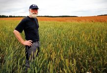 Nastavení zemědělských dotací v ČR je stálý problém zemedelskych_dotaci