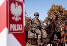 Poláci kupují zbraně v Koreji. Spojenci jsou zklamaní Polaci