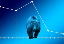 Dividendové akcie nabývají na významu víc a víc dividendove_akcie