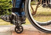 Češi raději pořádně pojistí domácnost než sami sebe