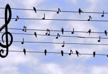 Převzetí Twitteru Muskem mění veřejnou debatu v USA Twitteru