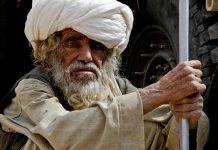 Afghánistán zvýšil produkci máku na opium o třetinu afghanistan