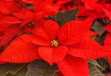 FinTag: Přehled článků od 12.12. do 18.12. 2022 Zdrave_zpravy