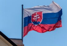 Češi pracující na Slovensku příspěvek na péči nedostanou Slovensko