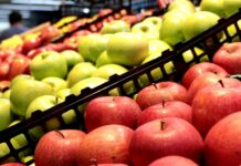 Bez řetězce si neškrtnete, tvrdí zemědělci i potravináři Foto: Pixabay.com